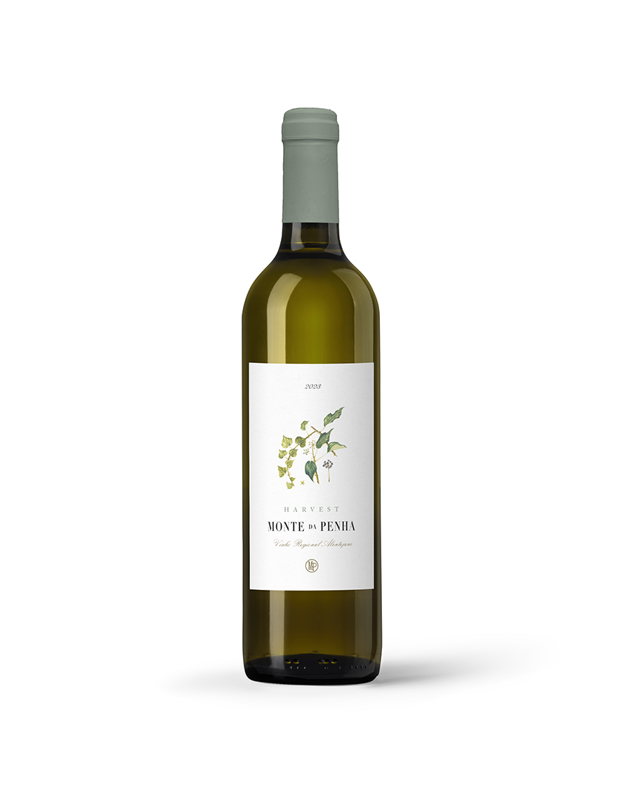 Monte da Penha Harvest Branco 2023