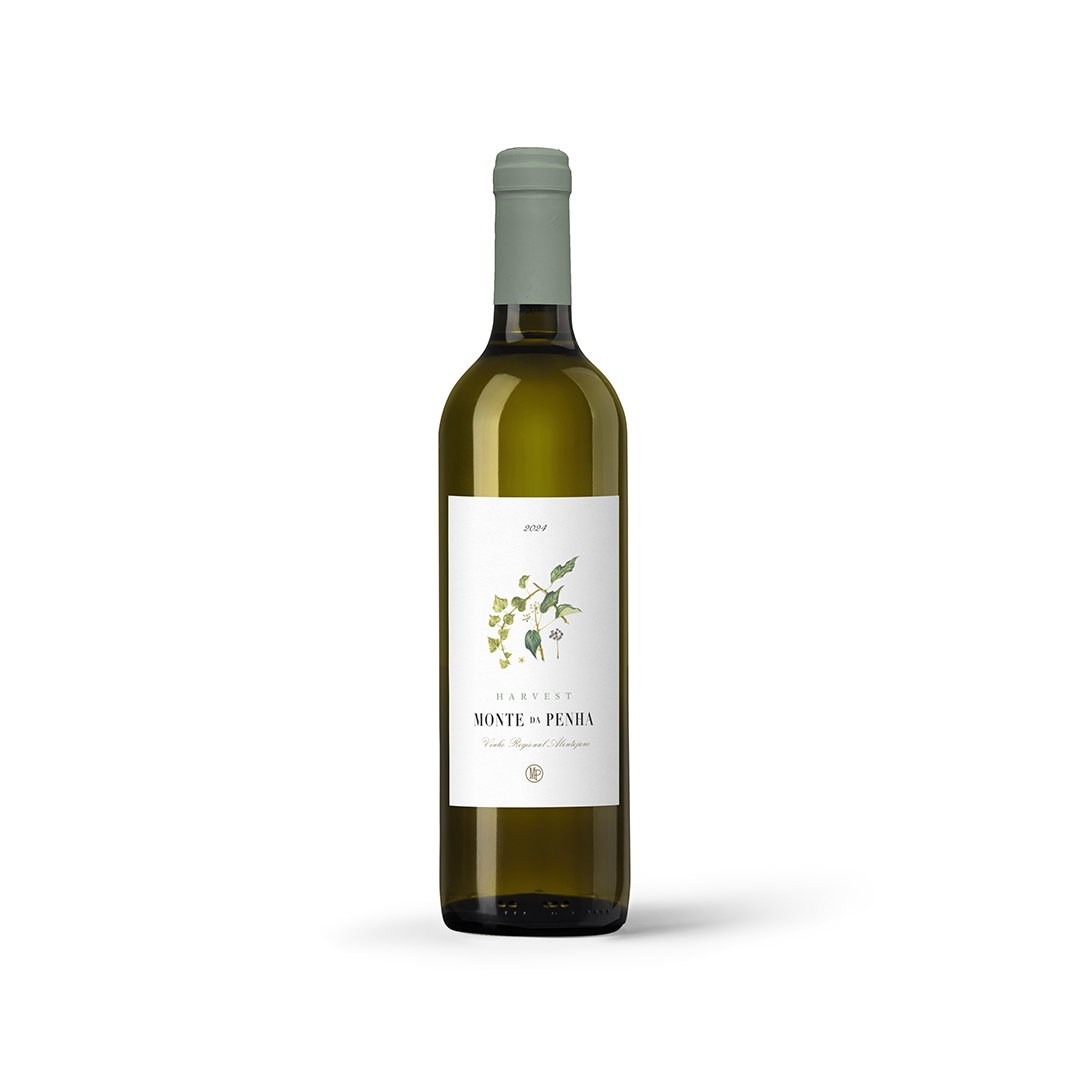 Monte da Penha Harvest White 2024